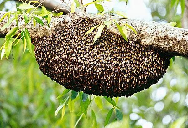 散文拆解资料包,散文朗诵儿歌