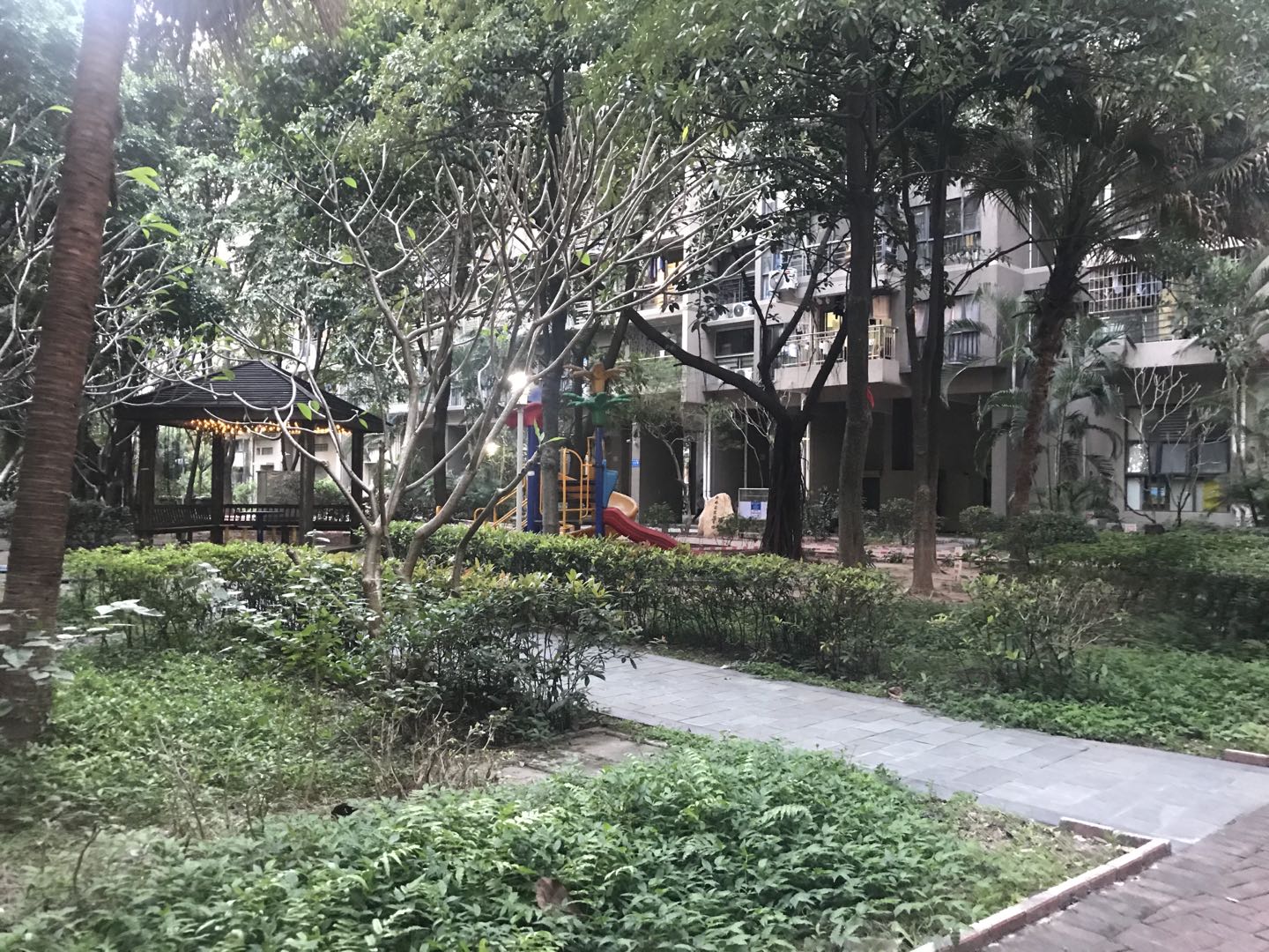 骞垮窞鏃跺皻鏄庤嫅鍊煎緱涔板悧,鏃跺皻鏄庤嫅骞垮窞