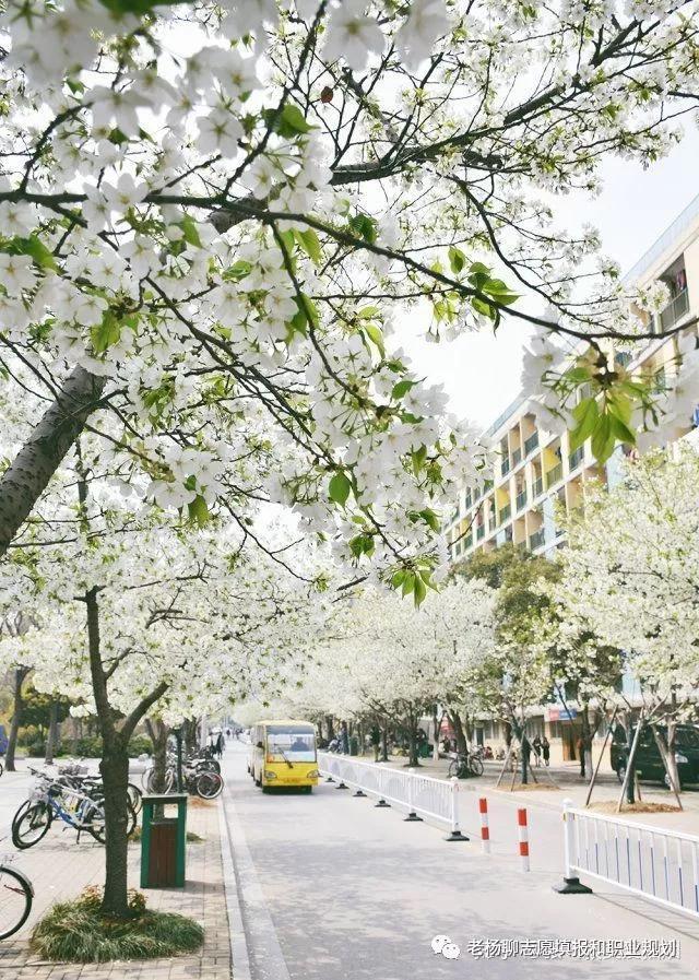 中国矿业大学徐州市,中国矿业大学徐州学院在哪