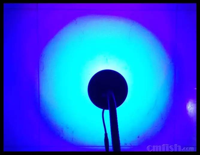 KELO钜彩照明LED水族灯试用活动鱼友评测详情,一