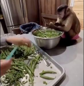 在网上买的盲盒靠谱吗,在网上买大批盲盒靠谱吗