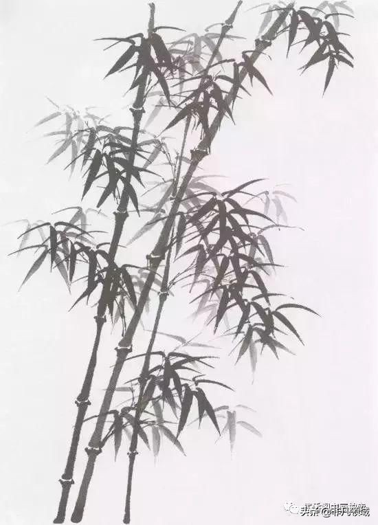 国画教程竹子的写意画法,国画写意竹子画法步骤