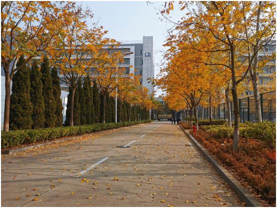 中国石油大学华东缺点,中国石油大学华东为什么考数二