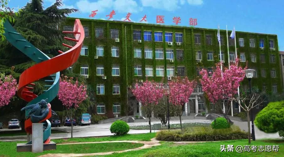 北大医学和交大医学哪个厉害,西安交大和西安交大医学部区别