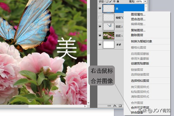 ps拼合图像和盖印图层,ps合并图层和盖印图层的区别