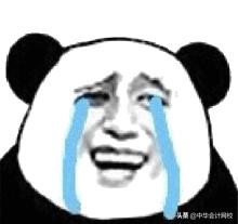 学会计专业可以升到cfo吗,当初选择你后悔吗