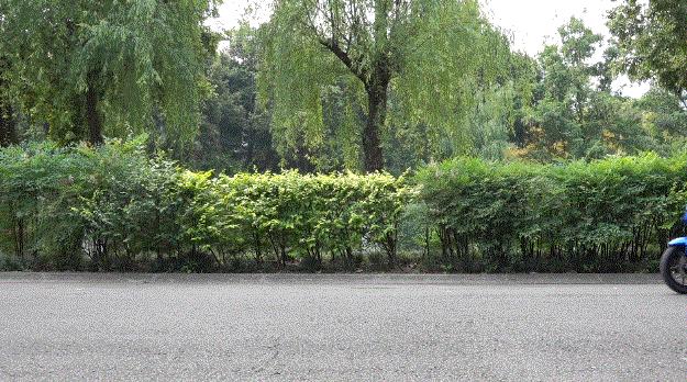 小牛新国标mqi2价格,小牛电动mqi2绿标和黄标的区别