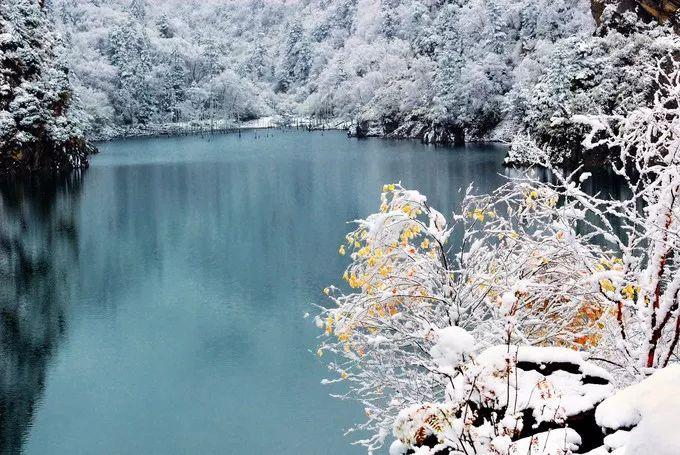 九寨沟旅游神奇的九寨,九寨沟风景不输瑞士