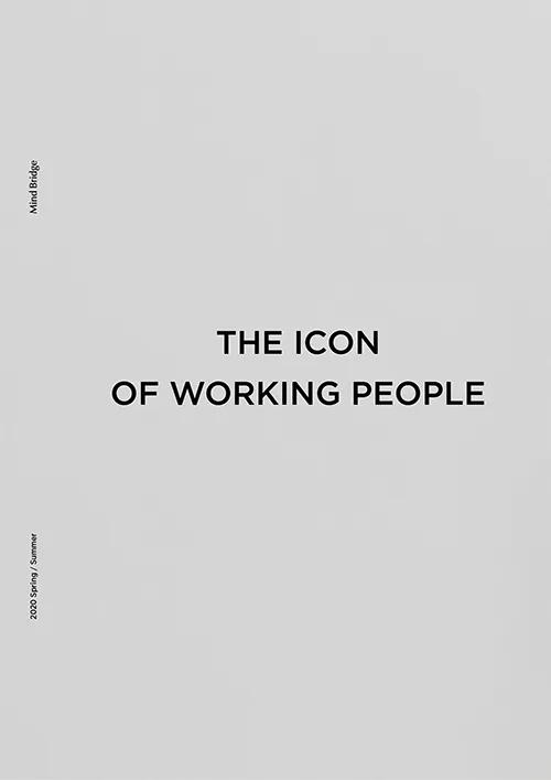 mindbridge2019,mindbridge测评