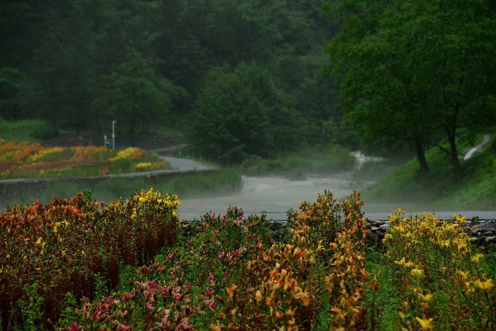 六月回忆儿时校园,六月回忆童年