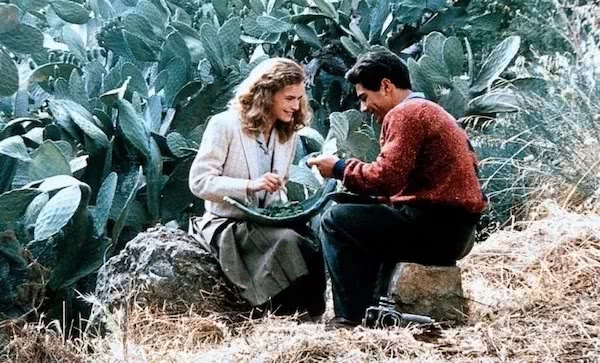 豆瓣9.9巅峰之作,豆瓣8分的经典之作