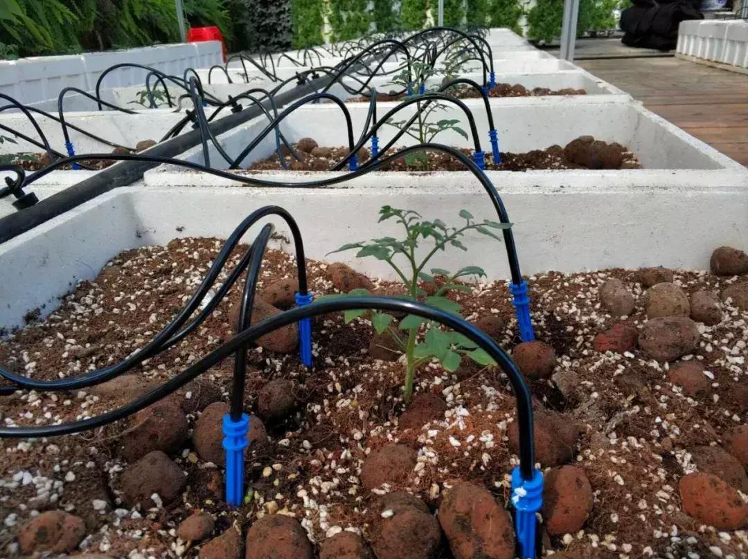 120亩自然营地,120公顷的庄园