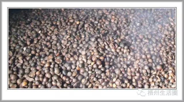 “茶油煮饭，锅底刮烂”！罗定的你试过了吗？