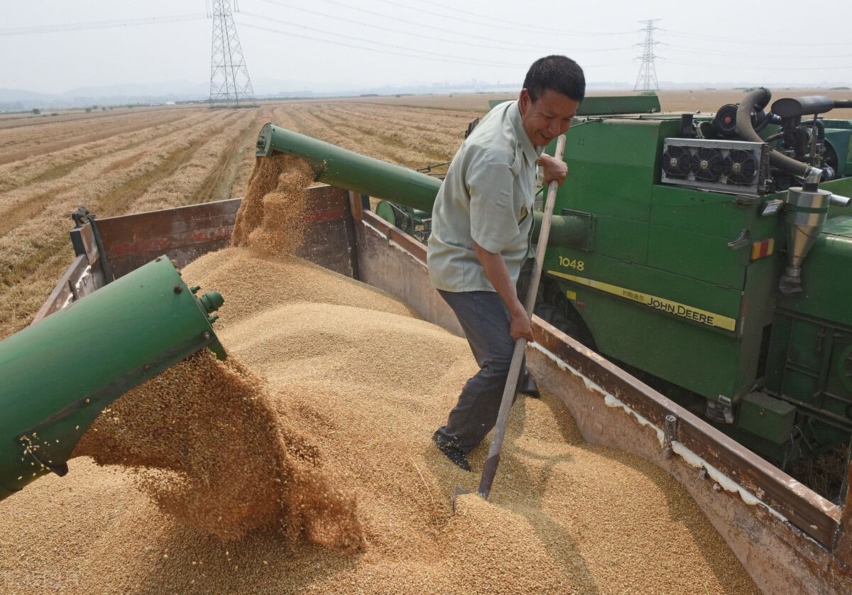 明年为何叫辛丑无春年?“寡妇遇金牛,粮仓堆到头”,是啥意思?