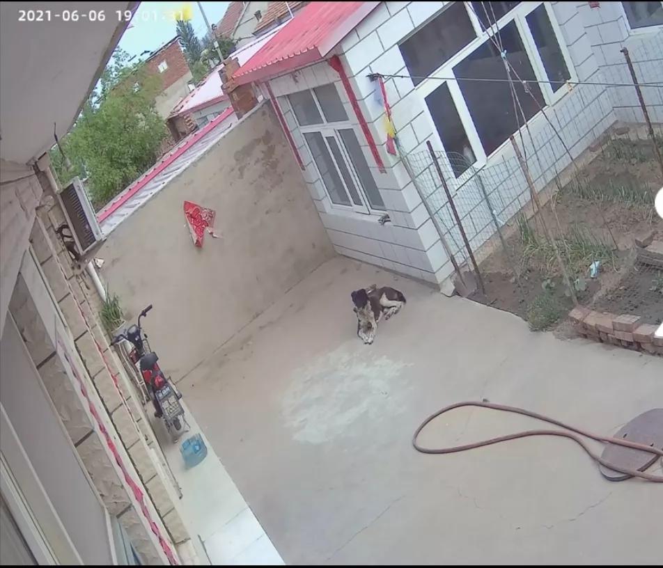 家用高清监控摄像头怎样挑选,如何选择家用监控摄像头