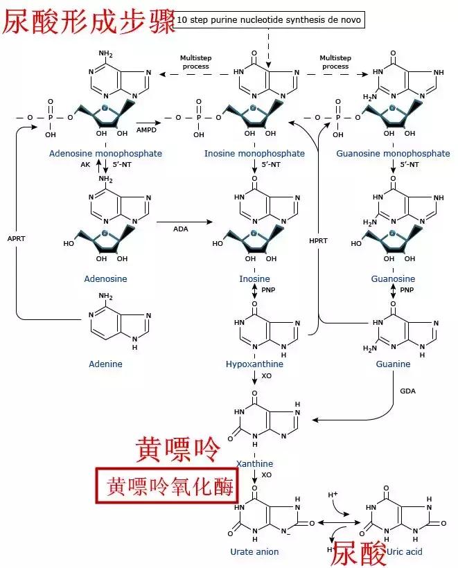 fda公布警告,fda警告顺尔宁