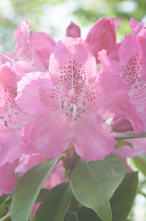 摄影拍照怎么避免雾气,拍照如何除去雾感