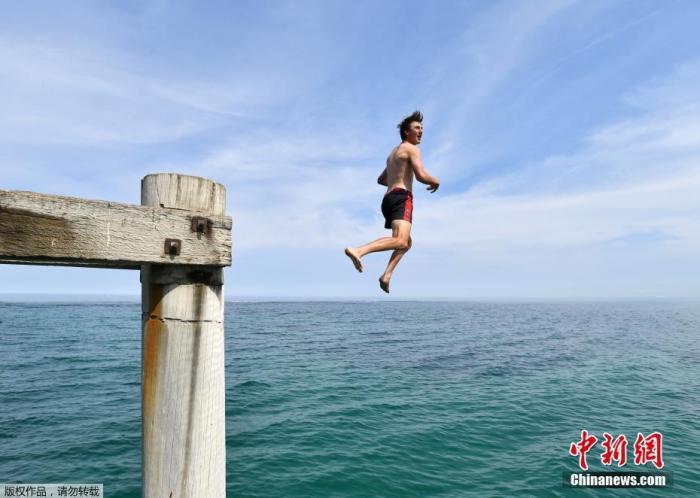 澳大利亚山火导致多少动物死亡,澳洲山火肆虐无数动物被烧死