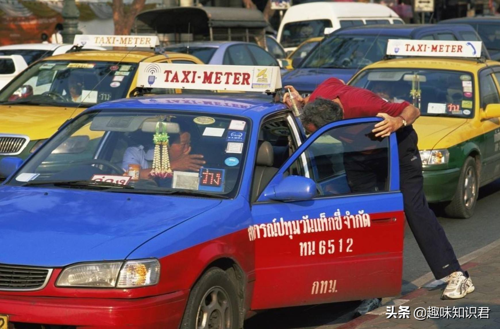 趣味又热门的冷知识大全,新鲜冷知识视频教程