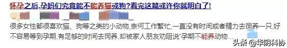 怀孕期间能够养宠物猫狗吗,怀孕养猫狗对宝宝有影响吗
