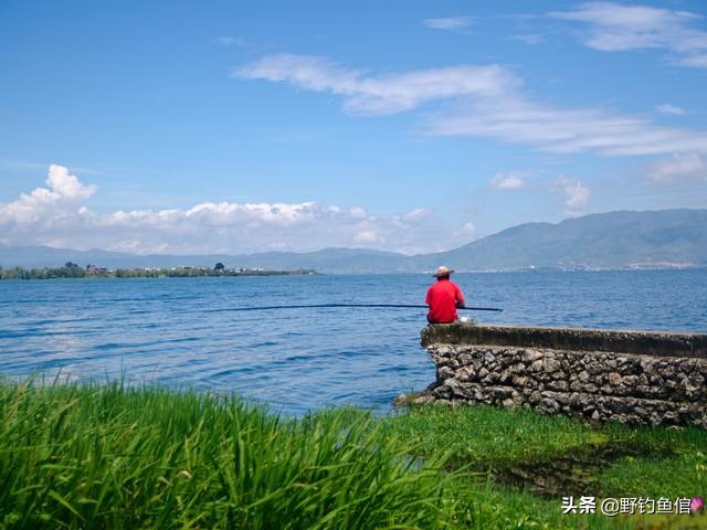 钓鲢鱼，千万别等黑漂再提竿（附手绘鲢鱼咬钩图）