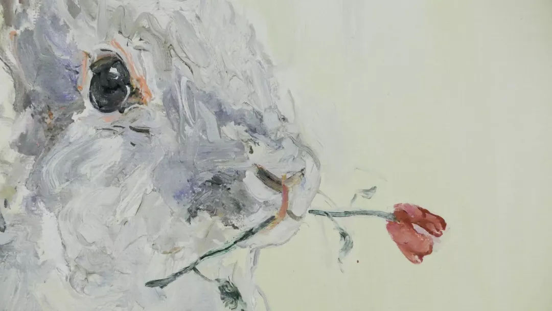 阿根廷伊瓜苏瀑布张国荣,张国荣在阿根廷