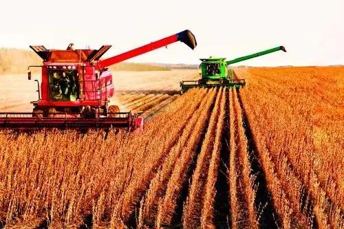 中国大豆产量最大的省,中国大豆种植大县