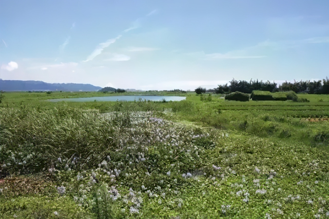 汕头濠江区十大旅游景点,汕头揭阳旅游必去十大景点