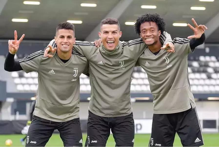 骡子无休，斑马无忧