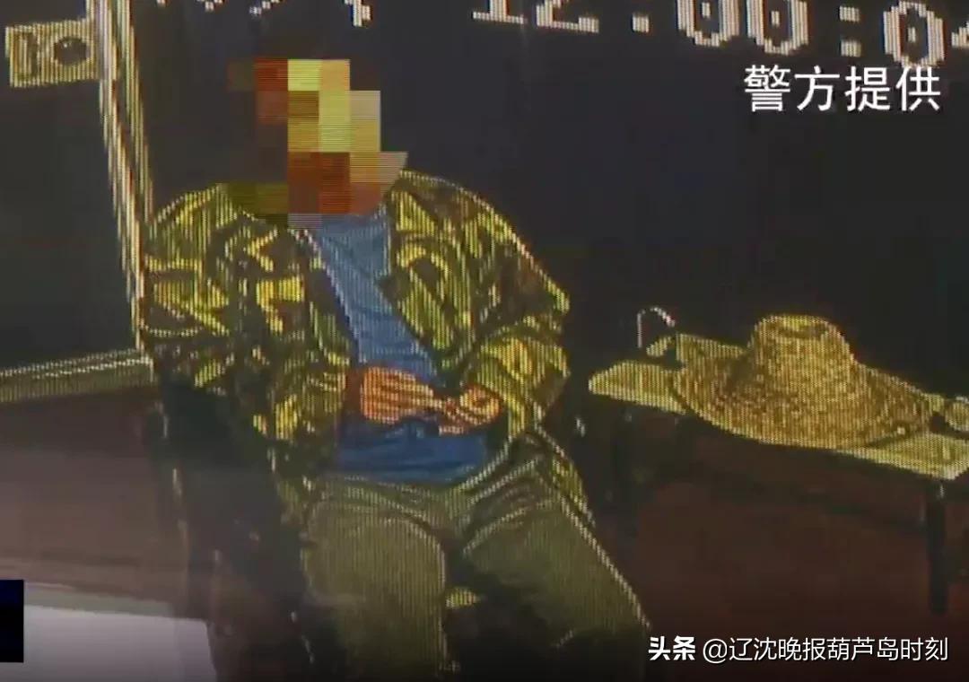 葫芦岛新闻头条今天晚上,葫芦岛新闻今天