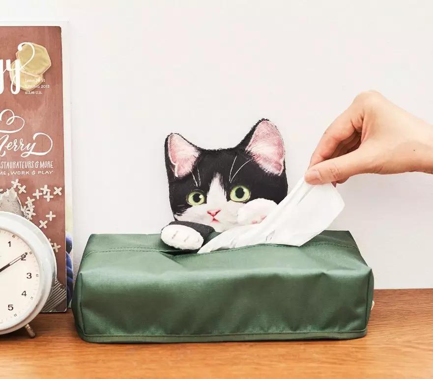 日本人又来骗猫奴们的钱啦!但我心甘情愿掏钱了!