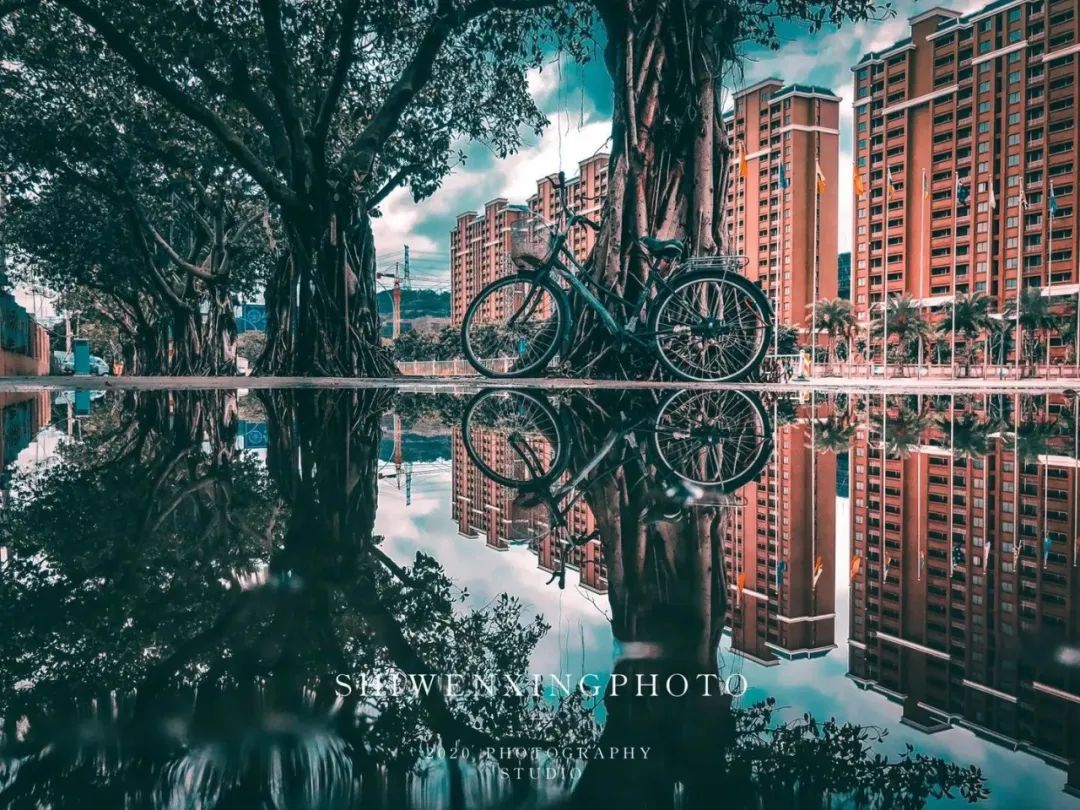 点赞他们的高光时刻,大家用手机拍出过什么好看的照片