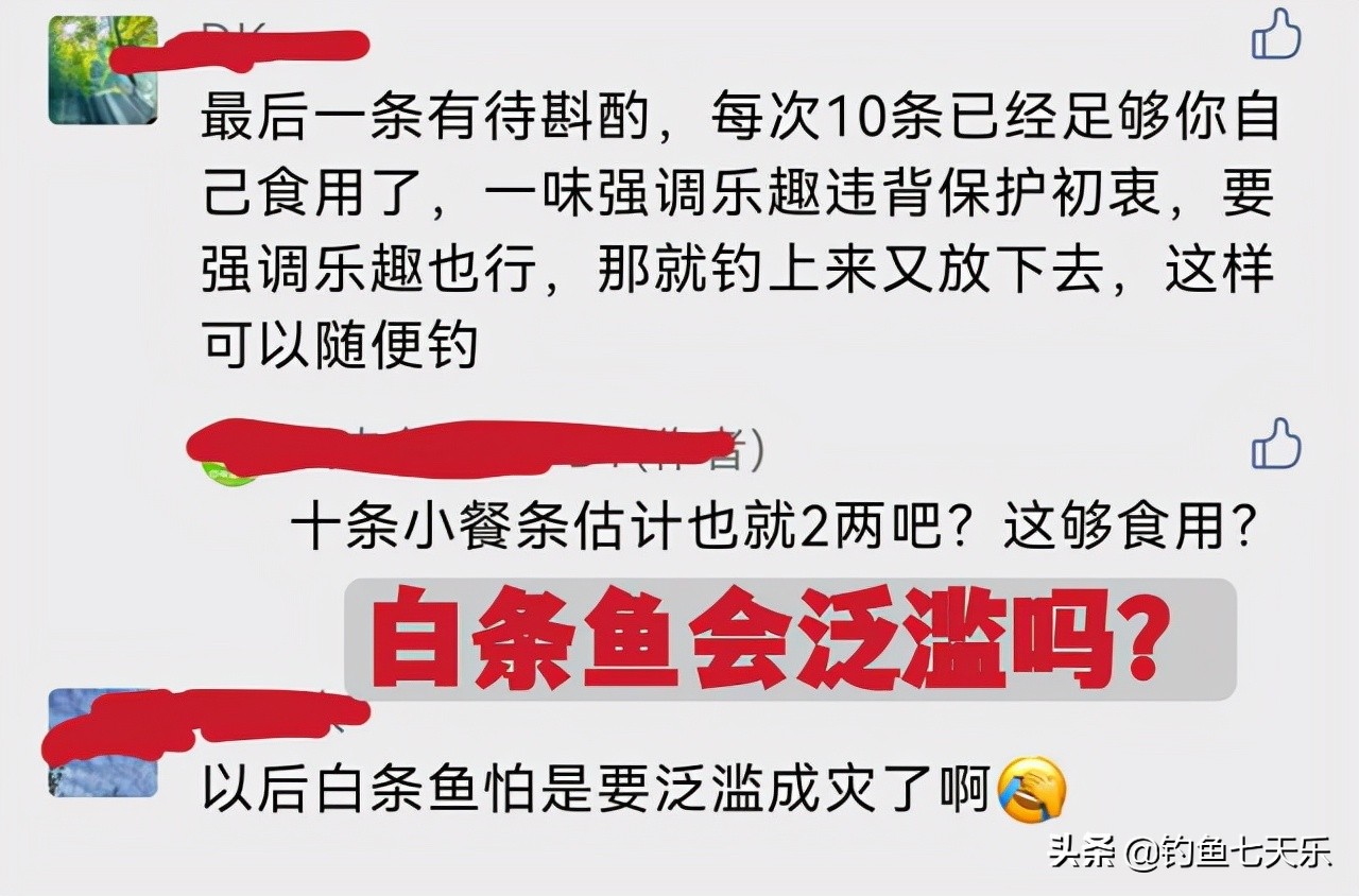 重庆地区野钓白条鱼最佳钓法,四川自然水域钓鱼最新规定