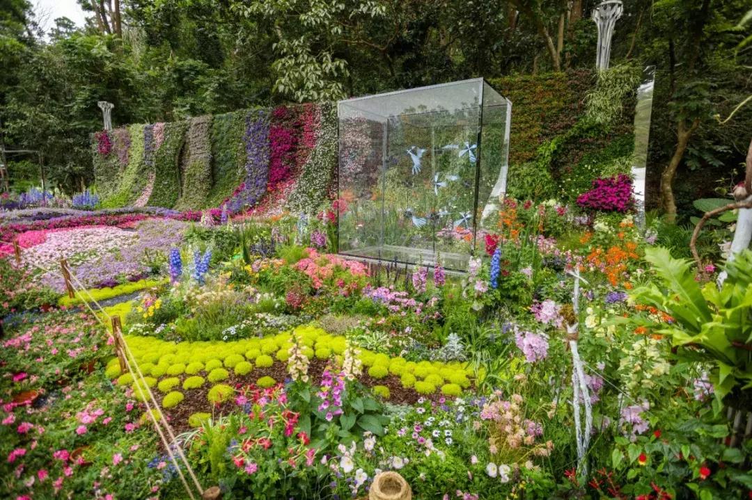 未来10天预警,深圳最最最最火的地方在这里,美女都赶来打卡