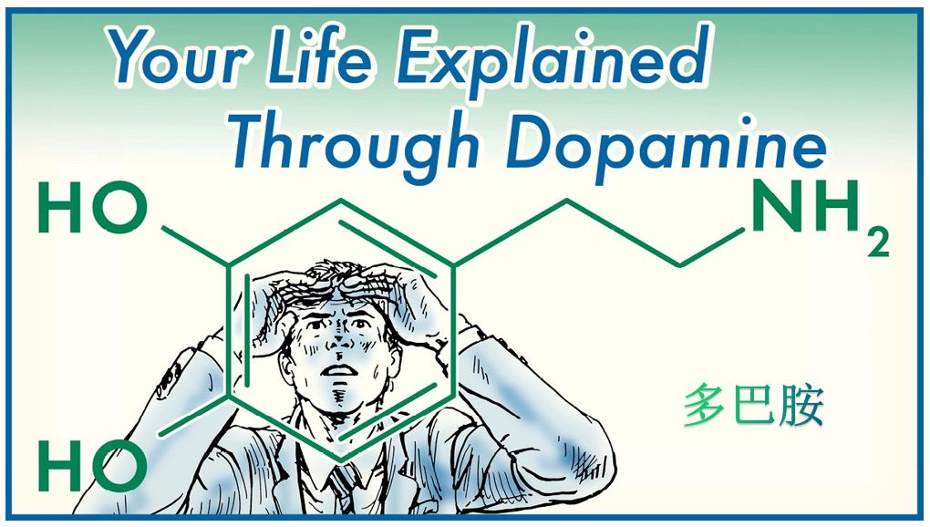 多巴胺神经元死亡还能恢复吗,多巴胺临终