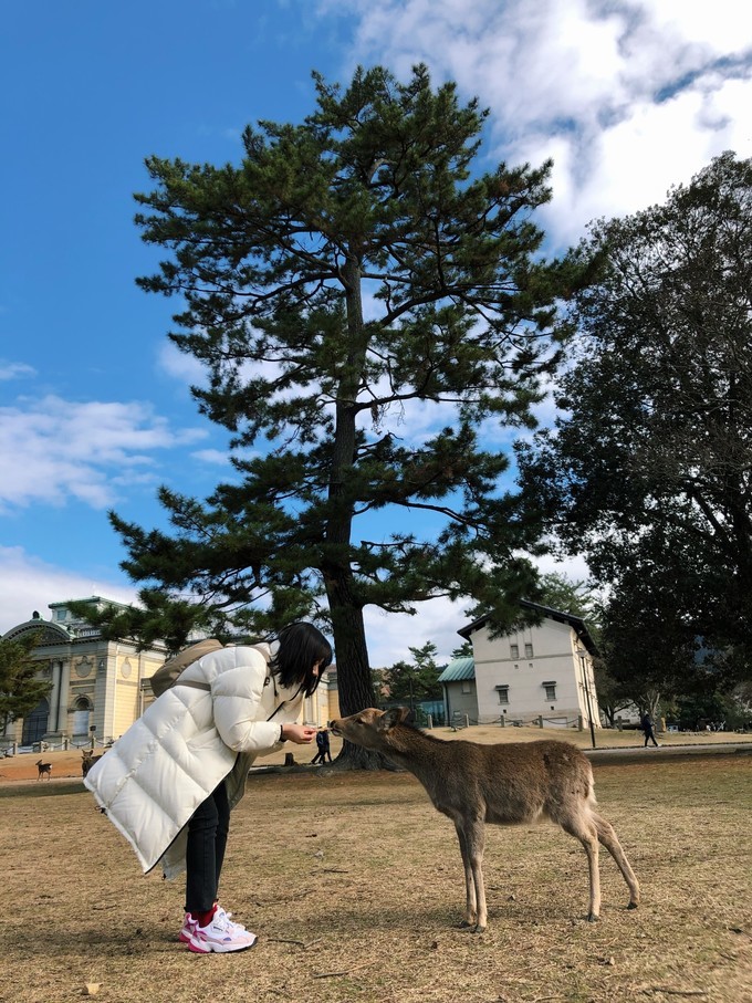 大阪环球影城一天半攻略,东京大阪京旅游攻略