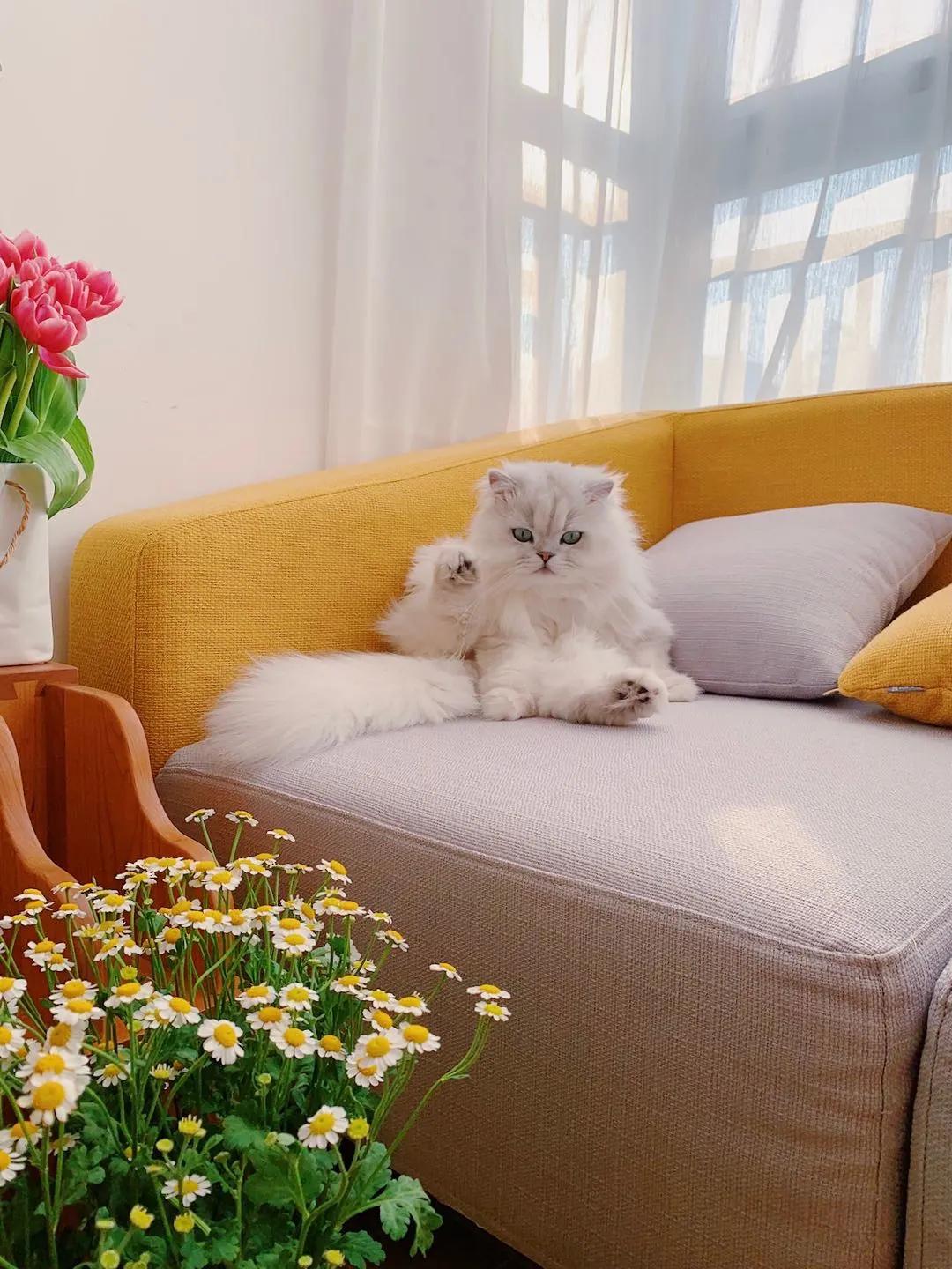 24款必入手爆款家具合集,家具单品推荐