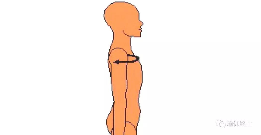 练瑜伽，内旋/外旋傻傻分不清？跟着步骤，试试就明白了