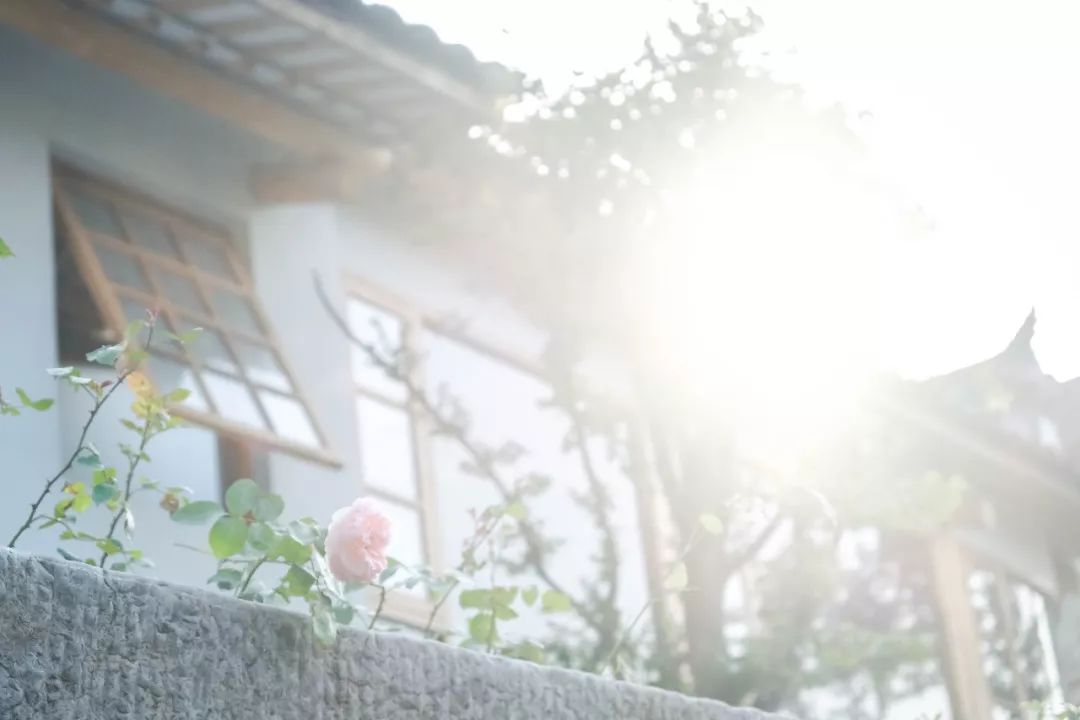 秋日河畔画中小镇，隐于茶园流水，山水间三店新开旅居吃茶慢生活