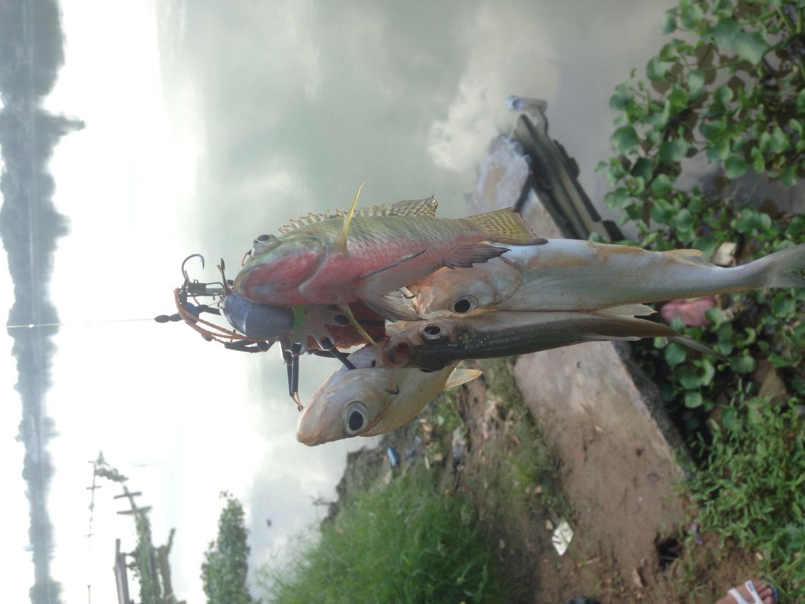 钓鲤鱼小鱼闹窝怎么调漂,钓鲤鱼小杂鱼闹窝怎么办