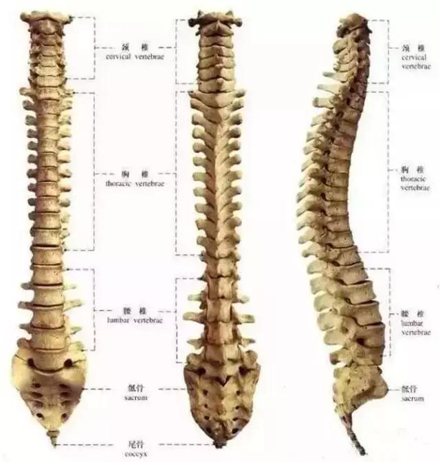脖子发紧心梗前兆还是颈椎病,心梗的前兆是颈椎疼痛吗