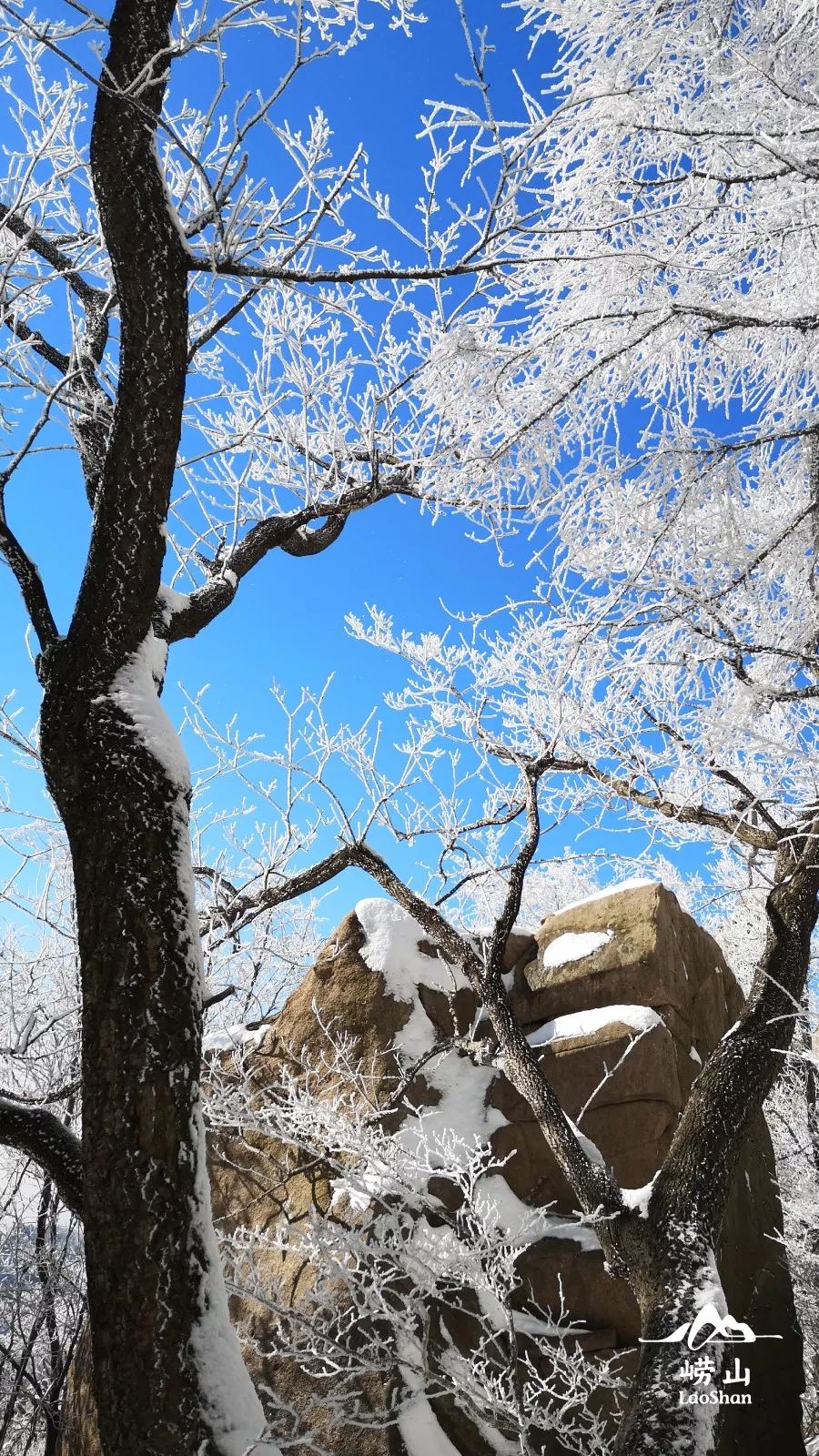 赏雪何须去北国,赏梦幻雾凇耍雪的绝佳去处