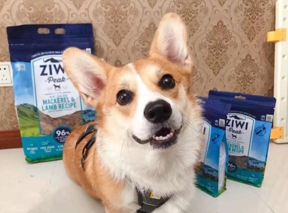 什么狗粮比较好性价比高测评,巅峰狗粮和比乐狗粮哪个好