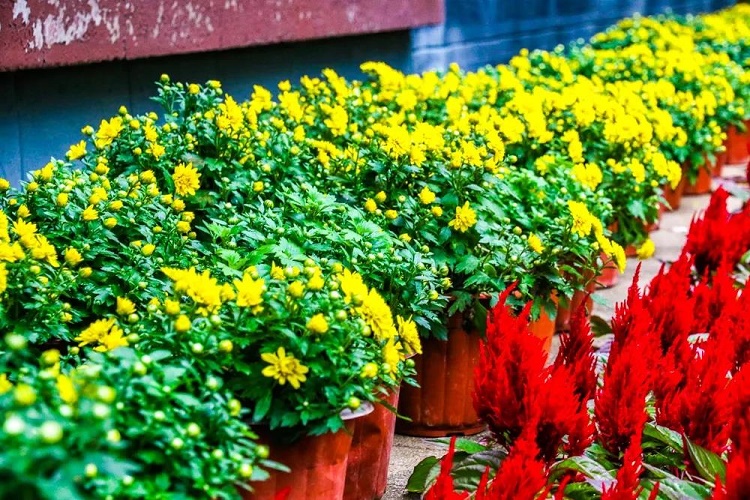 南京燕子矶游玩攻略,燕子矶游玩攻略一日游