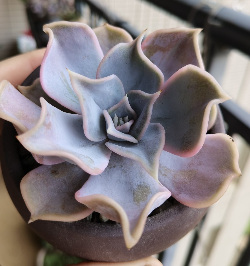 两个月过去了，十元以下的小东西都怎么样了？