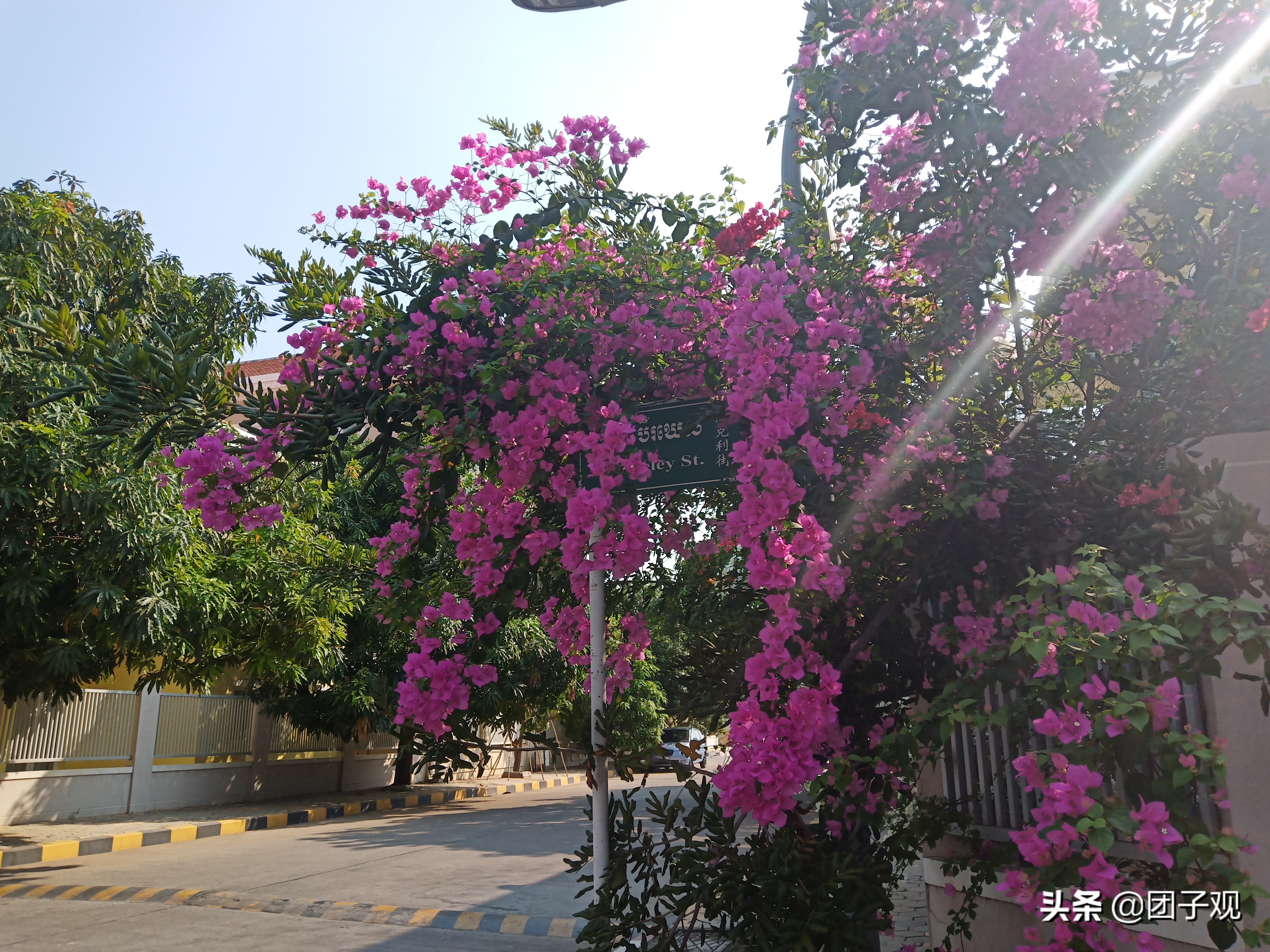 在柬埔寨工作什么体验,去柬埔寨工作好吗