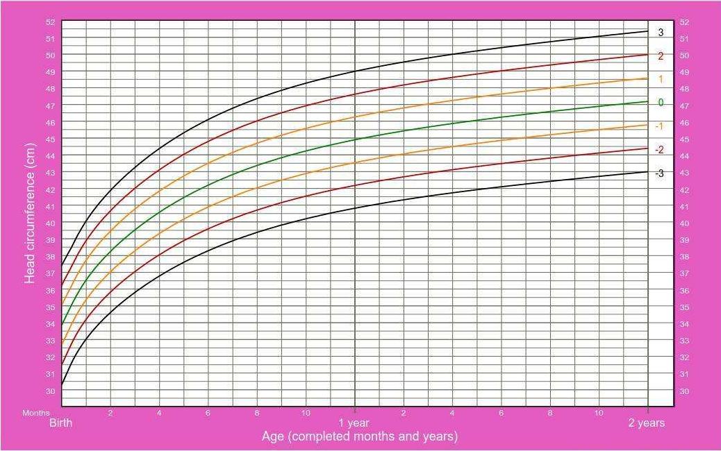 小孩养得特别胖好吗,孩子养得胖日子一定旺