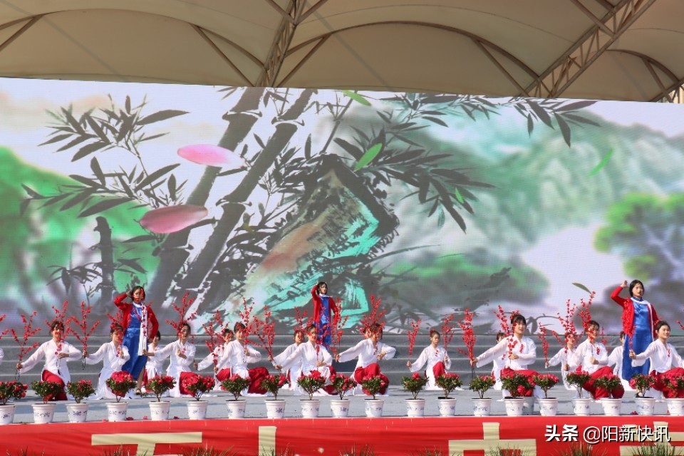 阳新一中2017年科技文化艺术节,阳新一中2023年艺术节回放