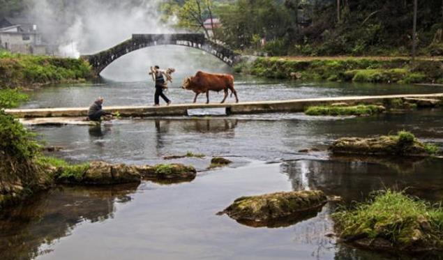 75首必背古诗含有田园风光的诗,关于描写美丽田园风光的古诗词