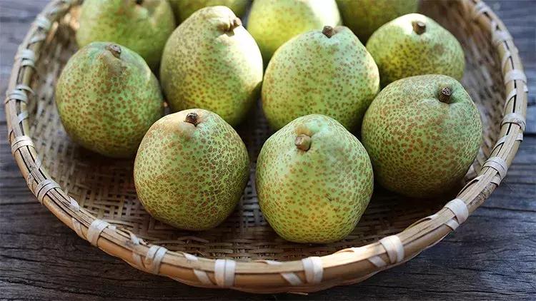 秋冬梨膏润肺止咳,久咳秋梨润肺膏